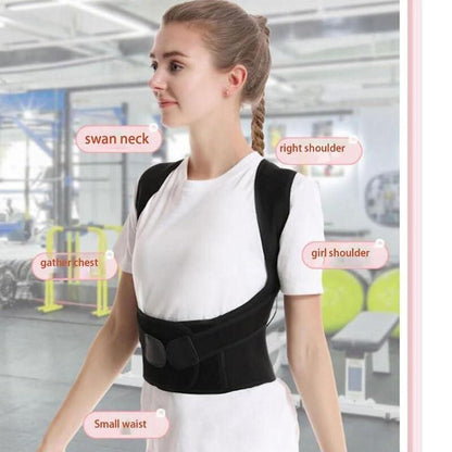 BackAlign Support Belt for Women and Men